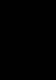 Bog, 2. udgave, 2002