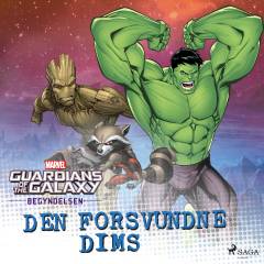Den forsvundne dims