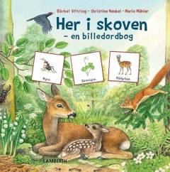 Her i skoven : en billedordbog : en fortælling om naturen