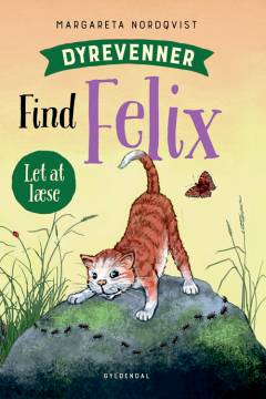 Find Felix