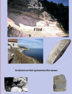 Flint : en historie om flint og hvorledes flint dannes