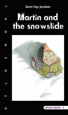 Martin and the snowslide