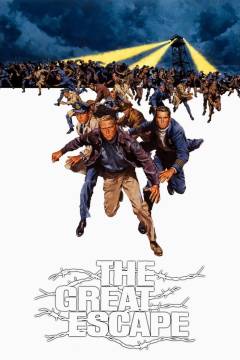 Film (dvd), Special edition, 2003