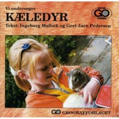 Vi undersøger kæledyr