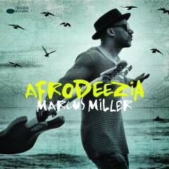 Musik (cd), ℗2015