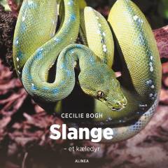 Slange : et kæledyr