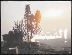 Elephantine