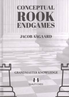 Conceptual rook endgames