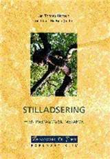 Stilladsering - en pædagogisk metafor