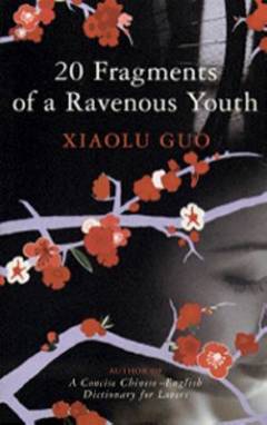 20 fragments of a ravenous youth