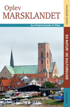Oplev marsklandet - fra Friedrichstadt til Ribe