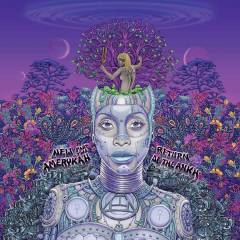 New Amerykah part two : Return of the Ankn