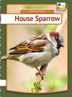 House sparrow