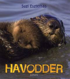 Havodder