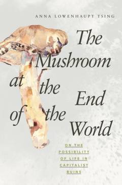 The mushroom at the end of the world : on the possibility of life in capitalist ruins