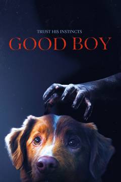 Good boy