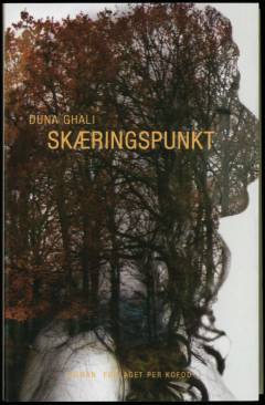Skæringspunkt
