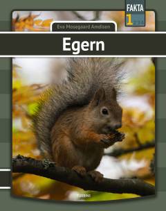 Egern