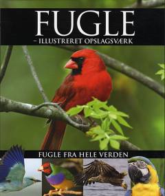 Fugle : illustreret opslagsværk