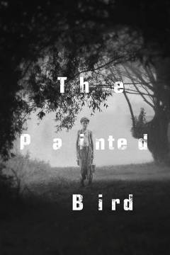 The painted bird