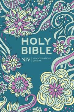 Holy Bible : new international version