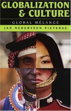 Globalization and culture : global mélange