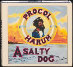 A salty dog