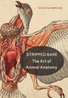 Stripped bare : the art of animal anatomy