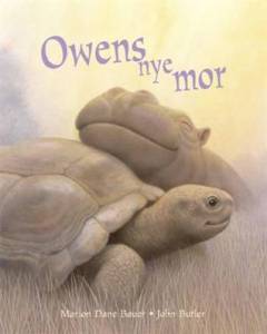 Owens nye mor