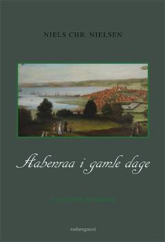 Aabenraa i gamle dage : en historisk byvandring