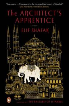 The architect's apprentice