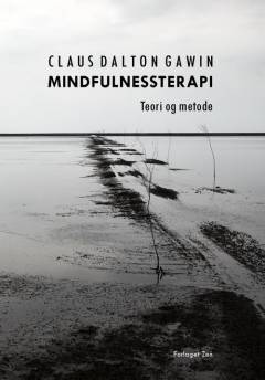 Mindfulnessterapi : teori og metode
