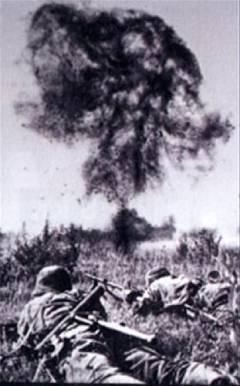 Østfronten : danskere i krig