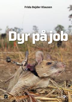 Dyr på job