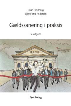 Gældssanering i praksis