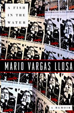 A fish in the water : a memoir