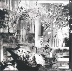 Musik (grammofonplade), ℗2019