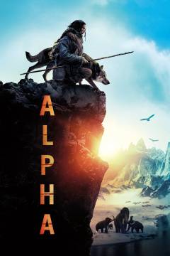 Film (dvd), 2019