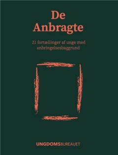 De anbragte : 21 fortællinger af unge med anbringelsesbaggrund
