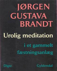 Urolig meditation i et gammelt fæstningsanlæg : digte