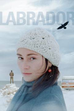 Labrador