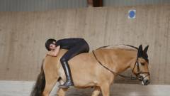 Ponylove. Afsnit 4 : Mod & mørke