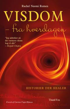 Visdom fra hverdagen : historier der healer