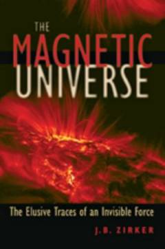 The magnetic universe : the elusive traces of an invisible force