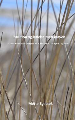 Intuition og ledelse med maven : fremtidens efterspørgsel på autenticitet, integritet og mod