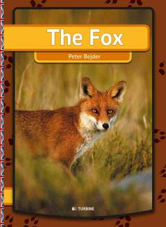 The fox