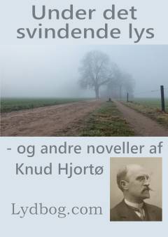 Under det svindende lys og andre noveller