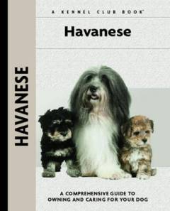 Havanese