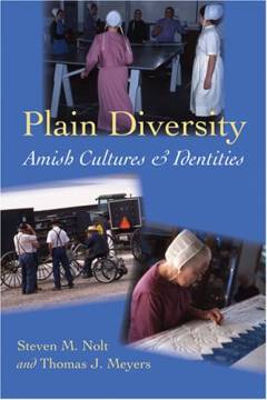 Plain diversity : Amish cultures and identities