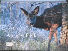 Amager Fælled